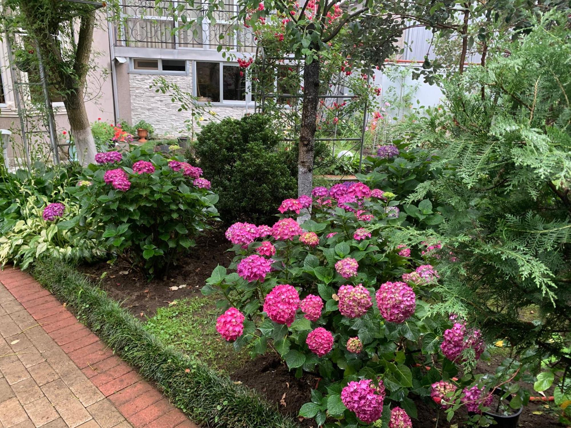 Guest House Smile Kobuleti Exterior photo