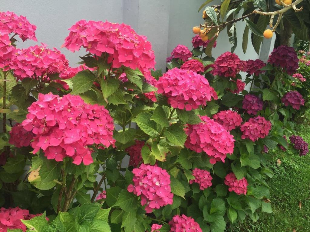Guest House Smile Kobuleti Exterior photo